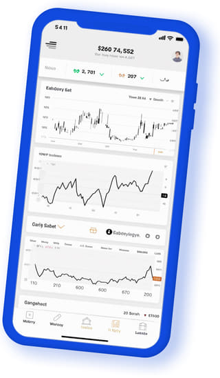 Prumo Contaria digital web application on mobile device